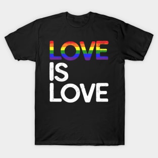 LGBT Gay Pride T-shirt Love is Love T-Shirt